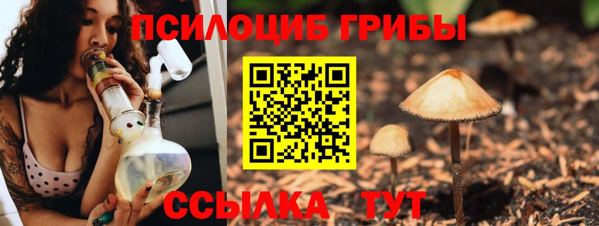 Псилоцибиновые грибы Psilocybe Александров