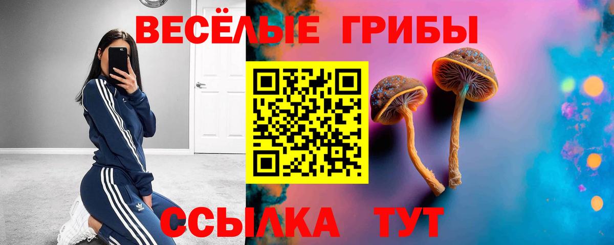 Александров  Галлюциногенные грибы мицелий  Вход с VPN 