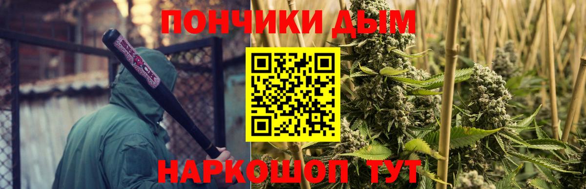 Бошки Шишки ГИДРОПОН Александров